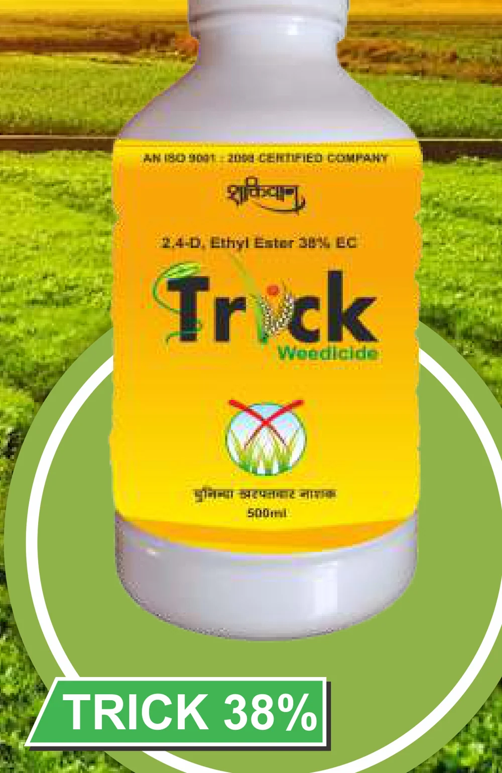 Trick 38% pack