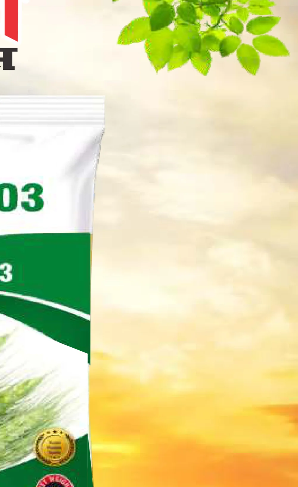 Vidya Mustard pack