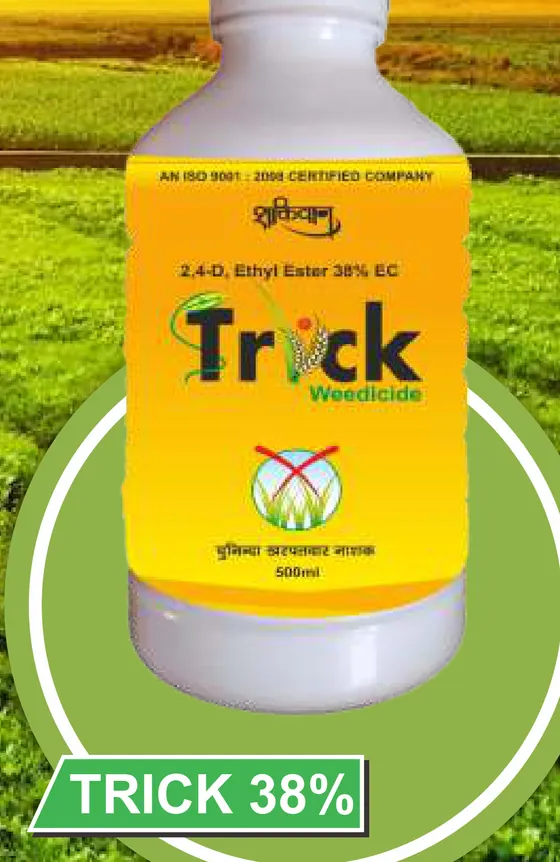 Trick 38% pack