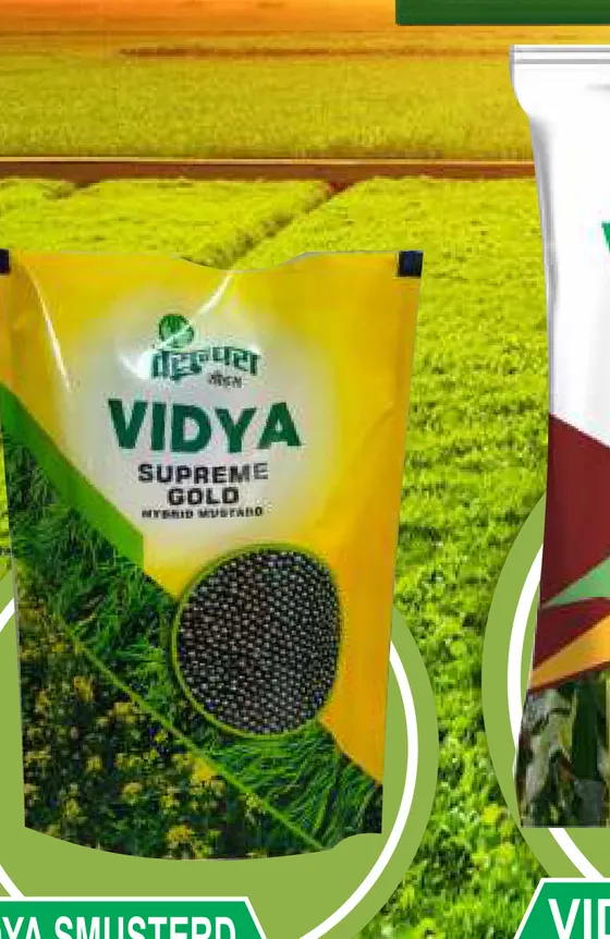 Chitra 303 pack