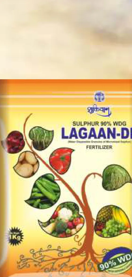 Lagaan-DF pack