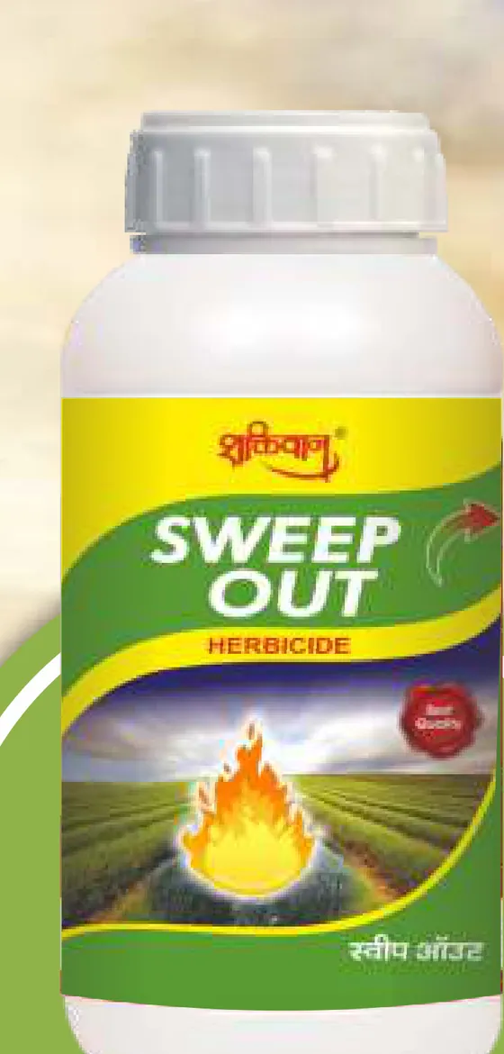 Sweep Out pack
